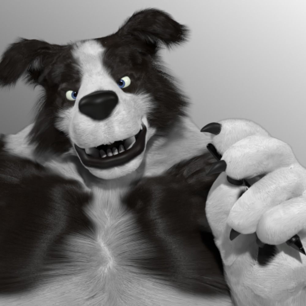 Amarok Boof