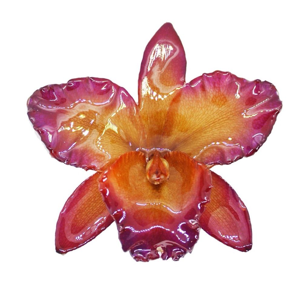 flor de tangerina