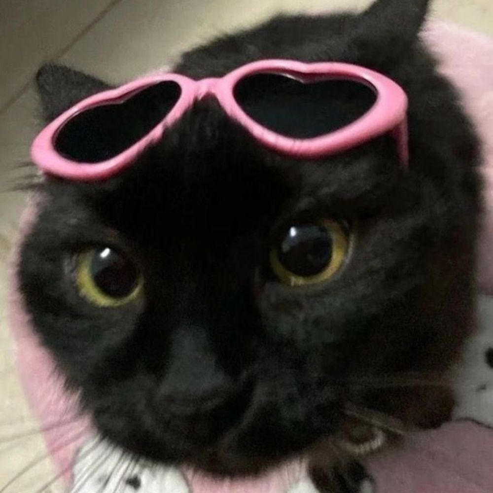 .·★ 𝓑𝓮𝓵𝔃𝓮𝓫𝓾 ★·.