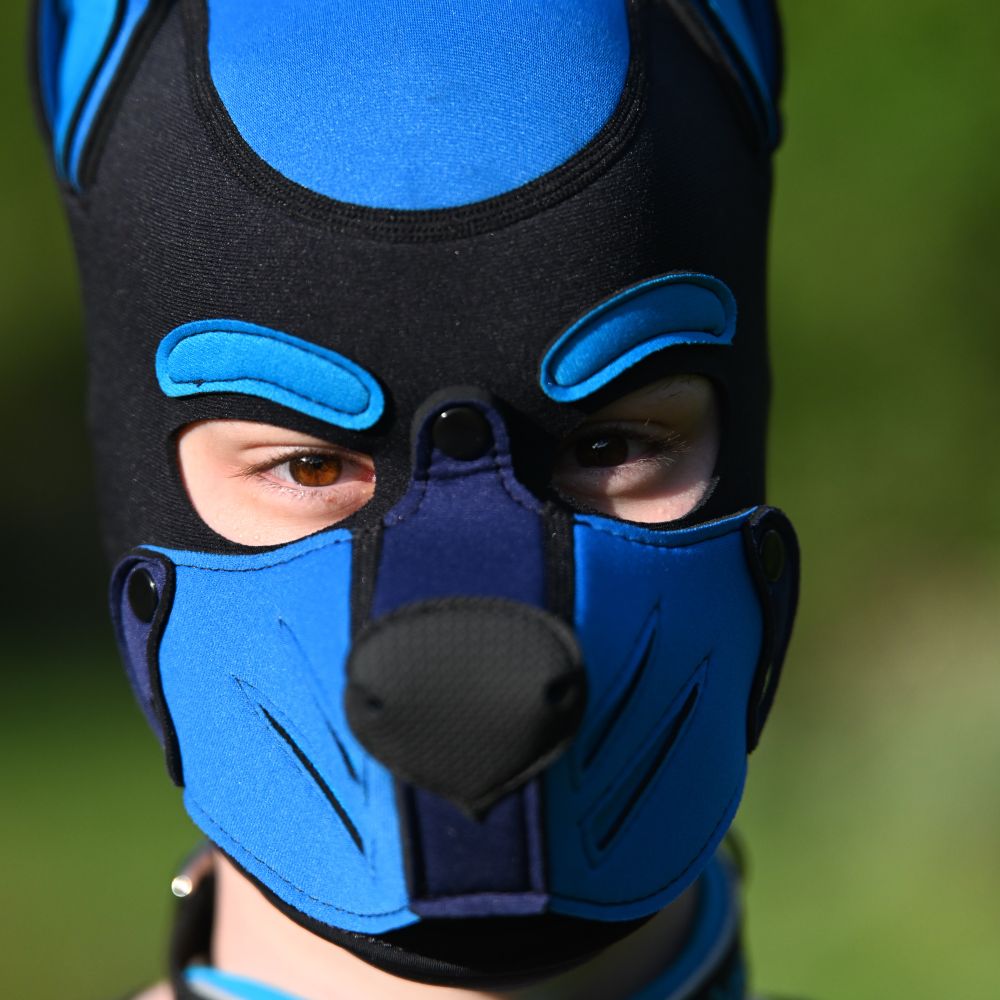 Puppy Tibius