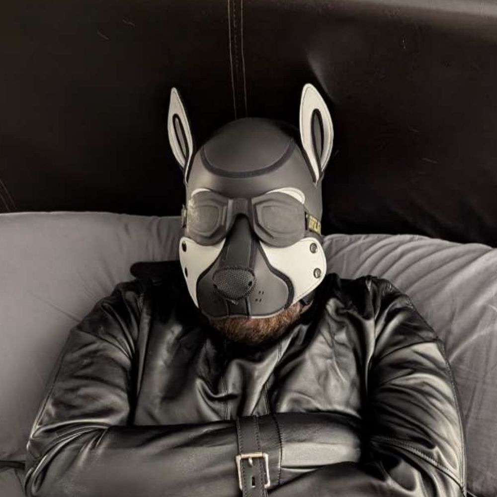 Bandit