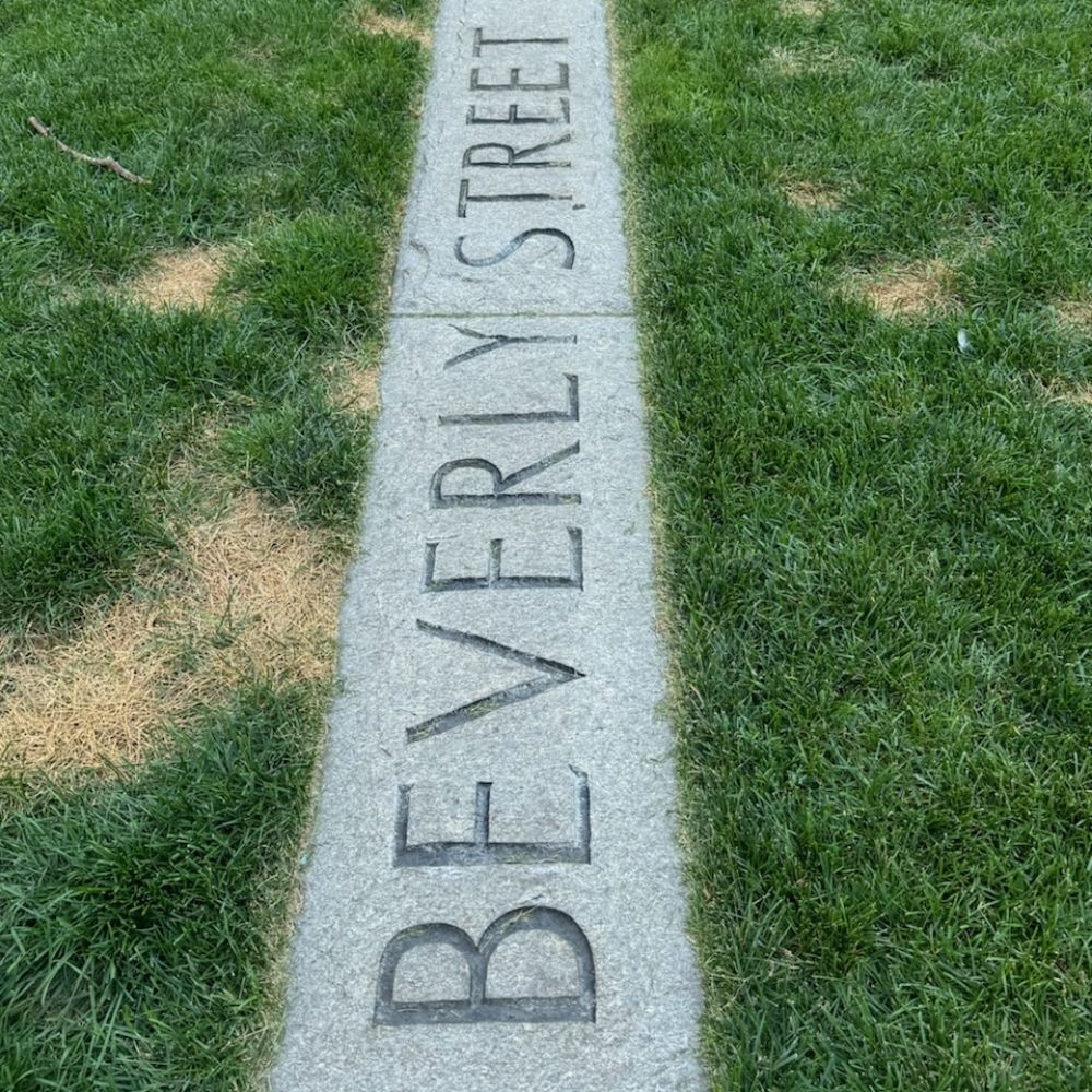 Bev