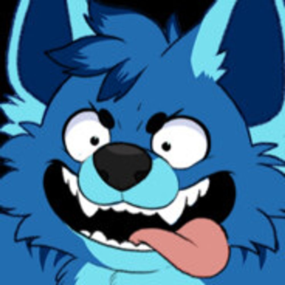 Bitwolf | Rayac 🐧