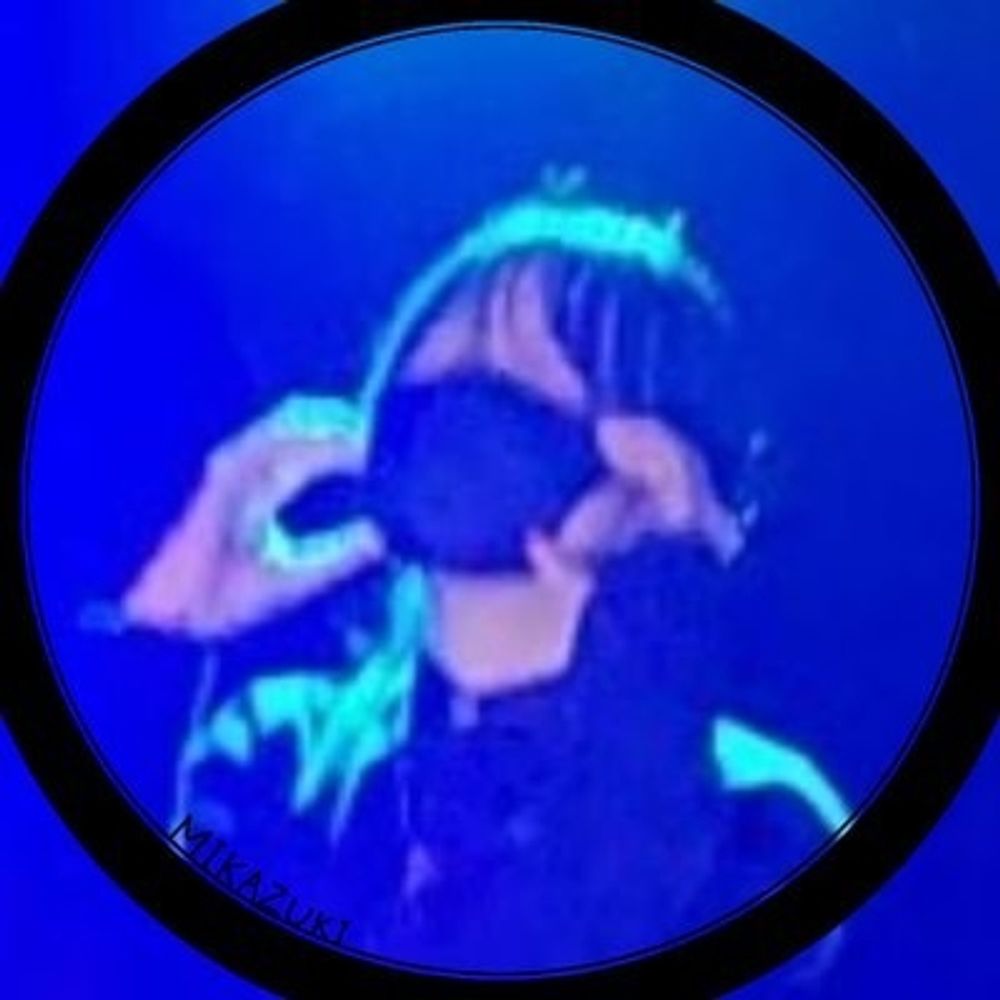 みかずき