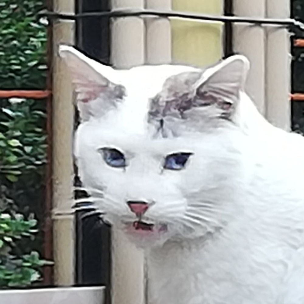 amagumo