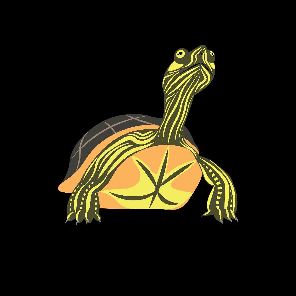 Painted Turtle Productions