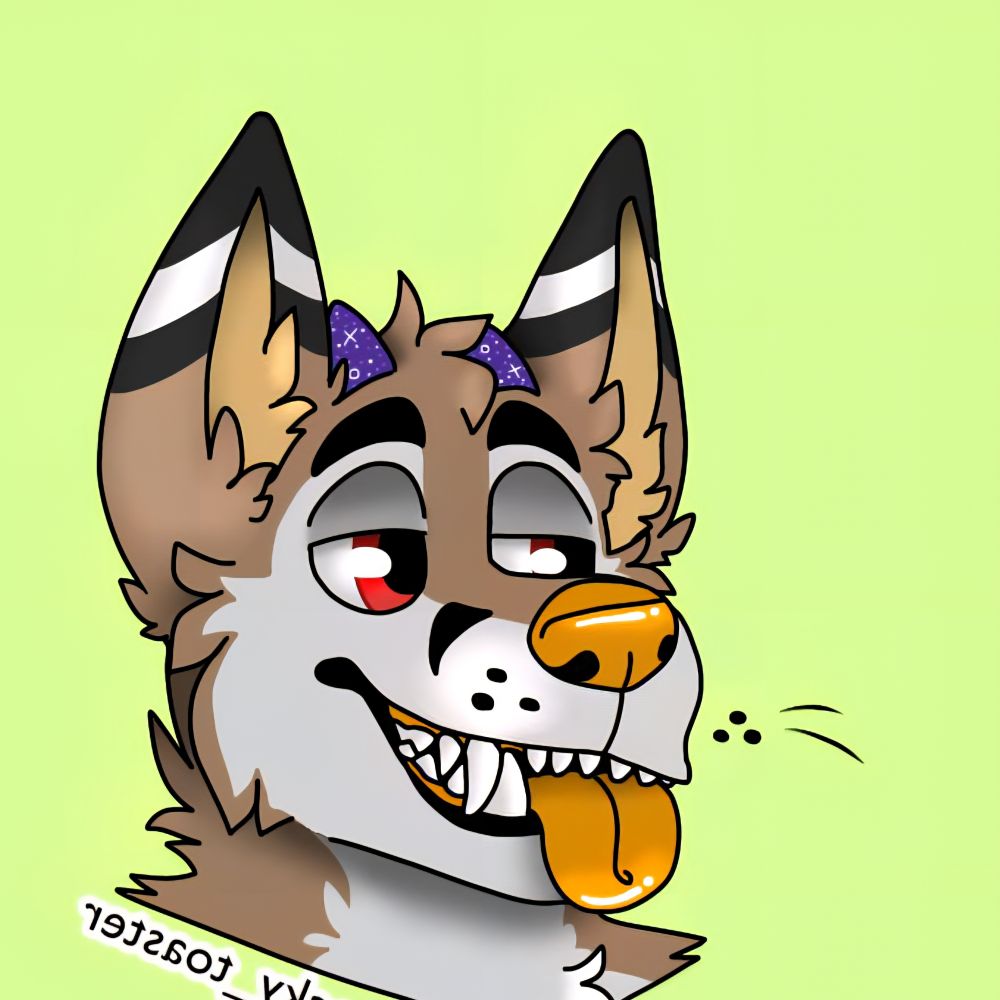 Pup Zuffer Canis