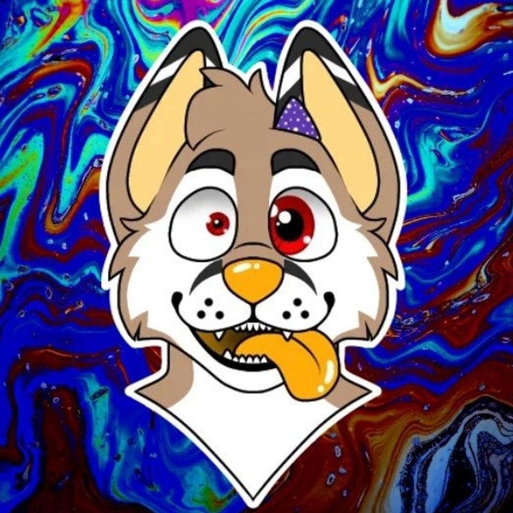 Pup Zuffer Canis