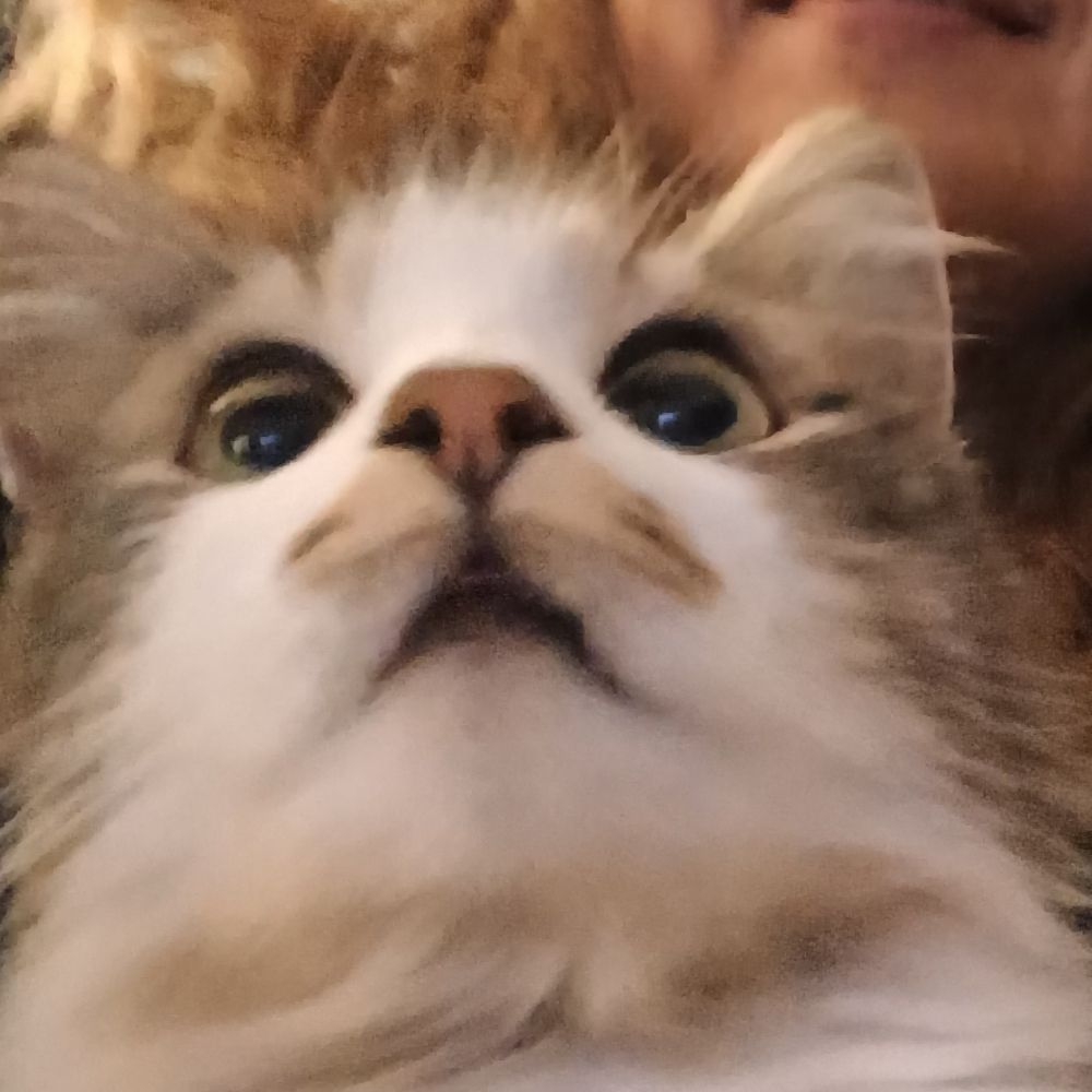 Sonja