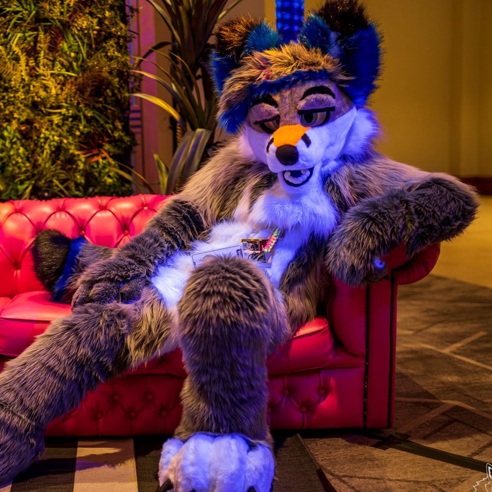 Adamski Fox