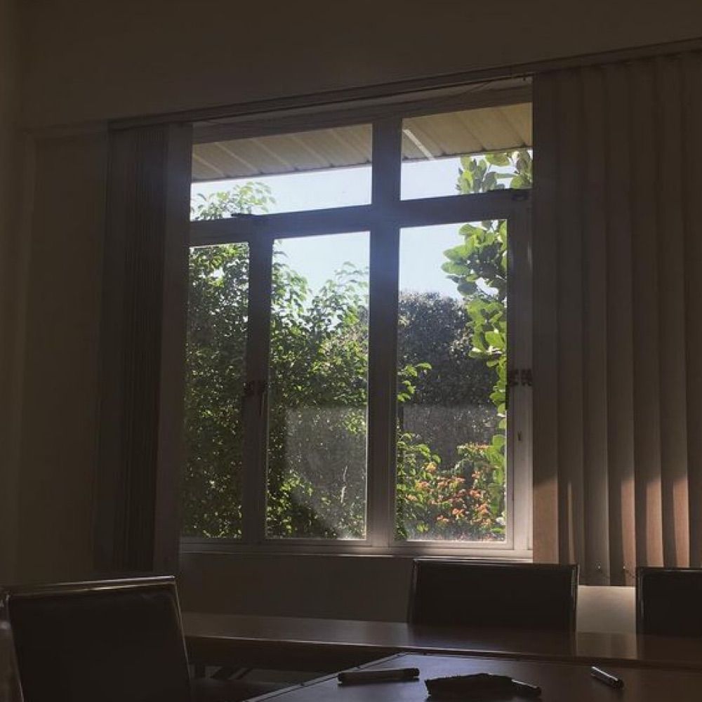 Just windows 🪟