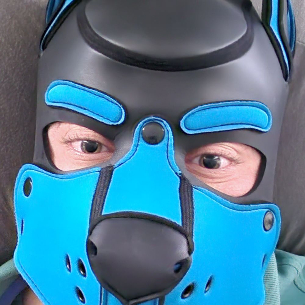 Pup Logan