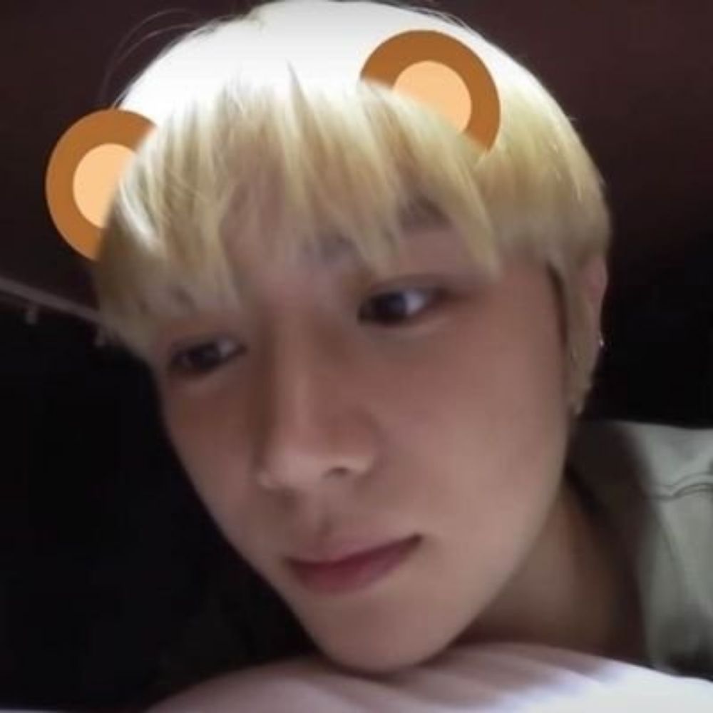 🐻