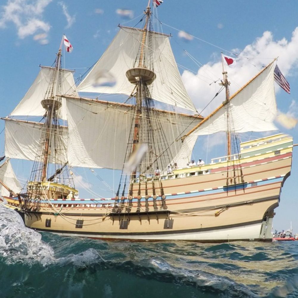mayflower2matters.bsky.social profile picture