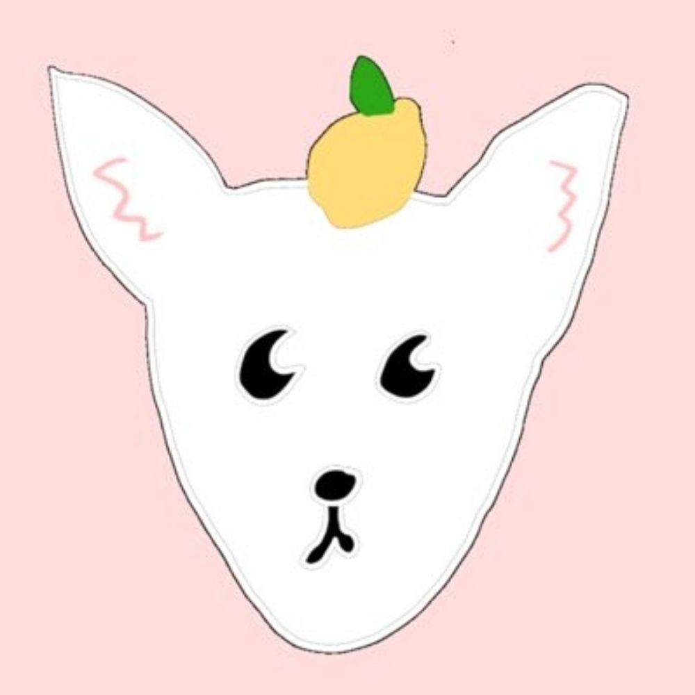 레몬맛 여우