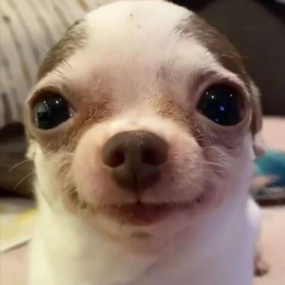 오랑