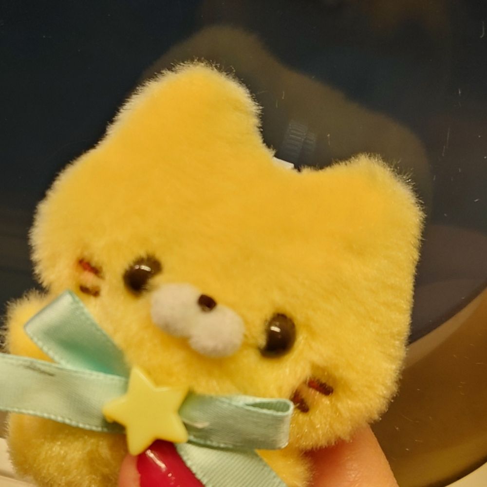 和哉🦔