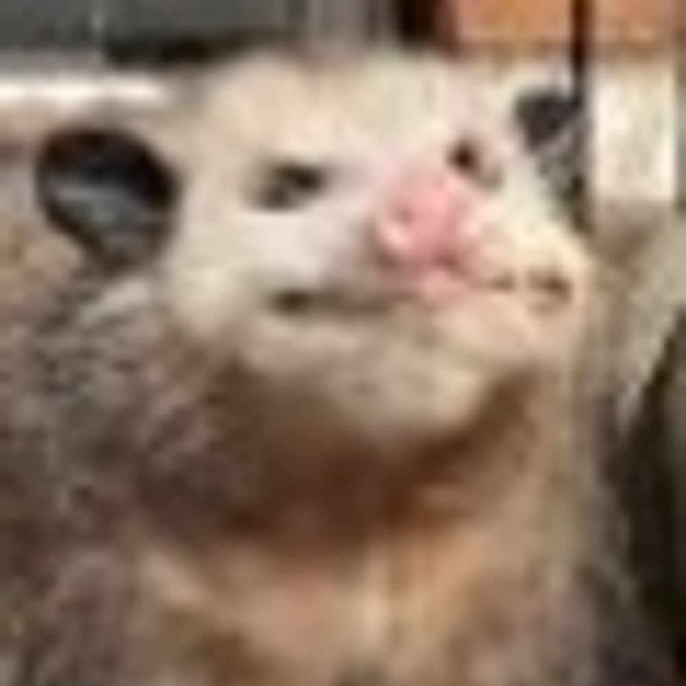 Kevcillo