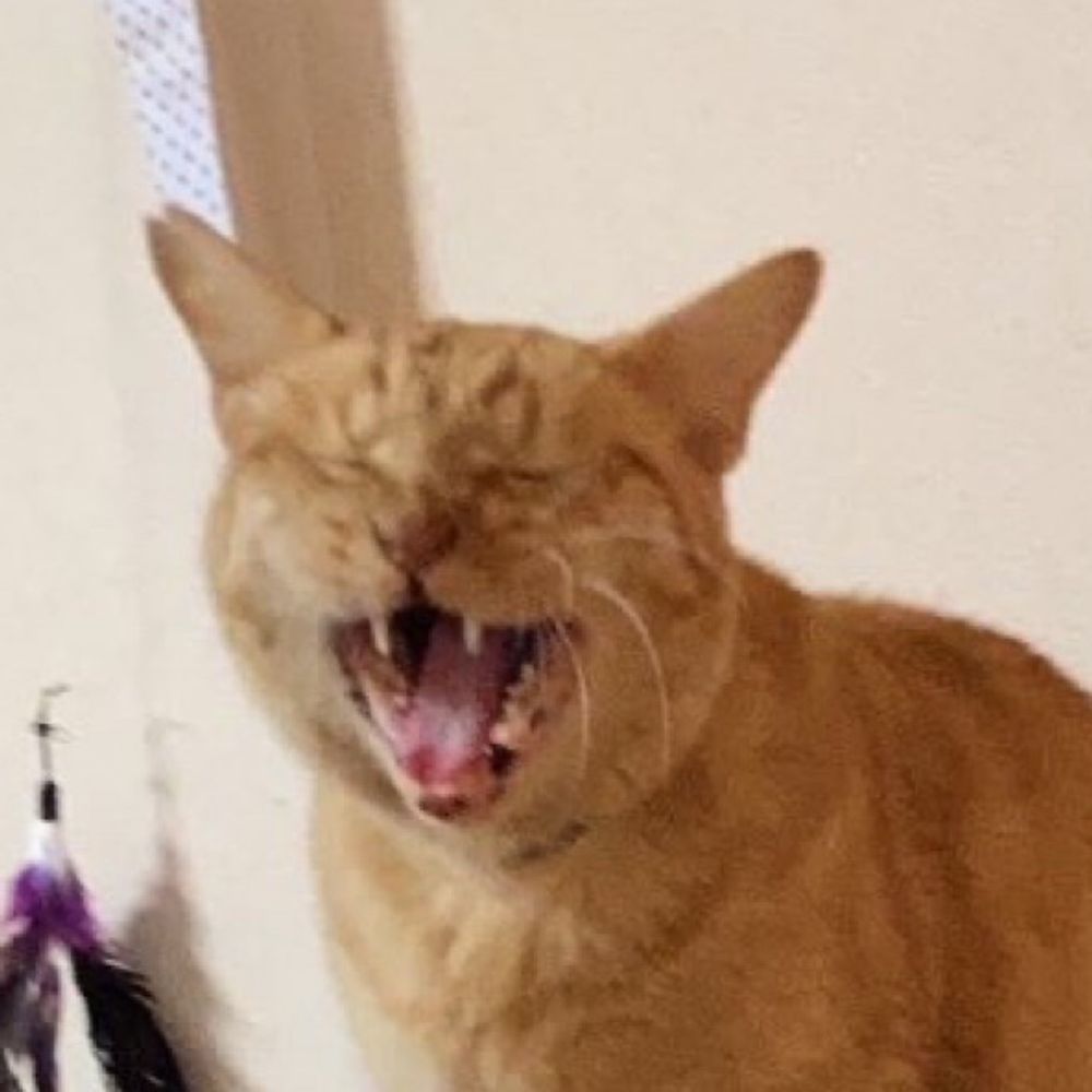 とらち