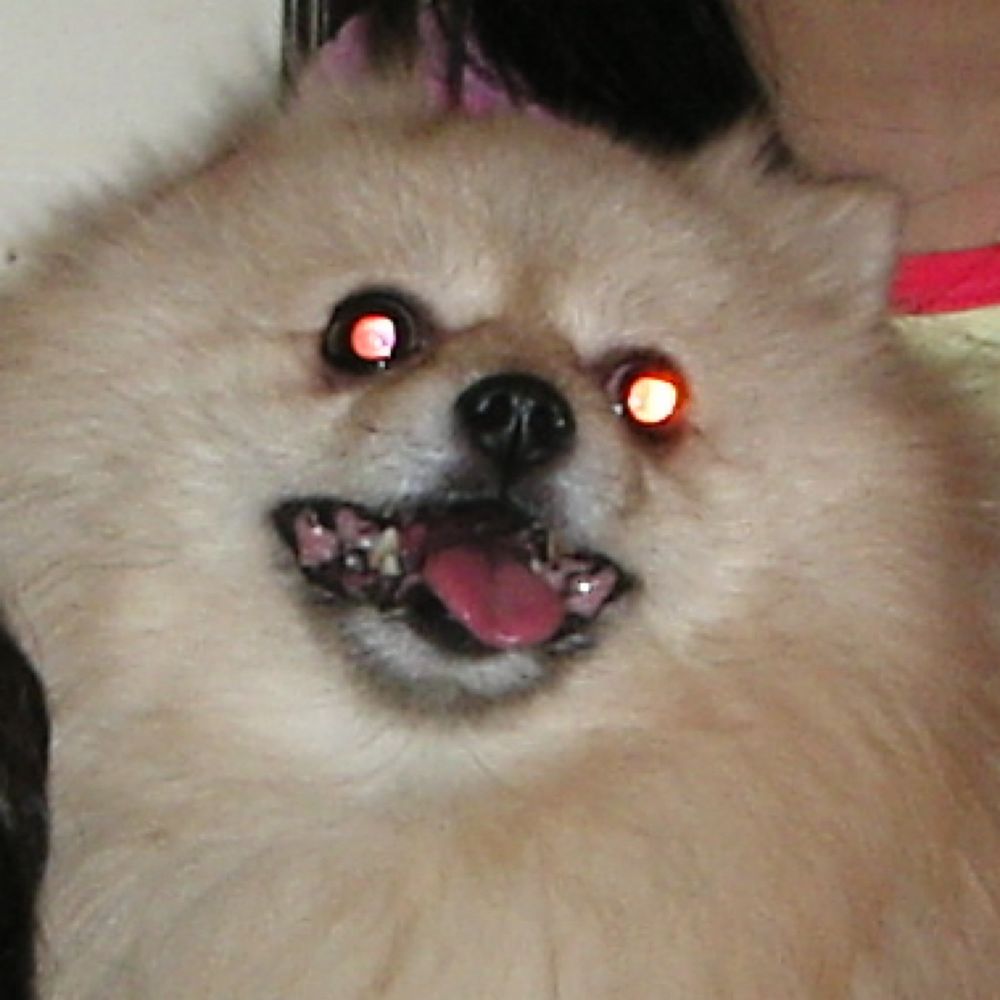 ツタ