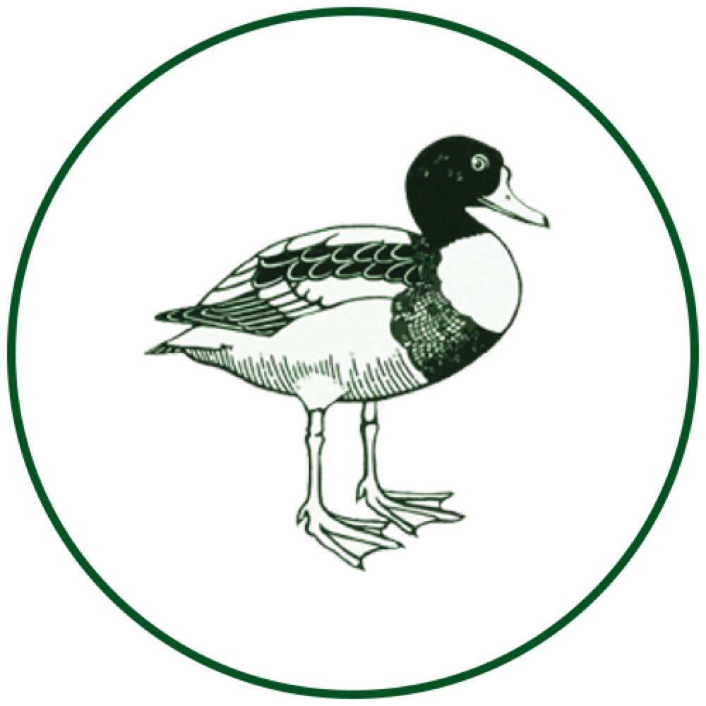 Sheldrake Press