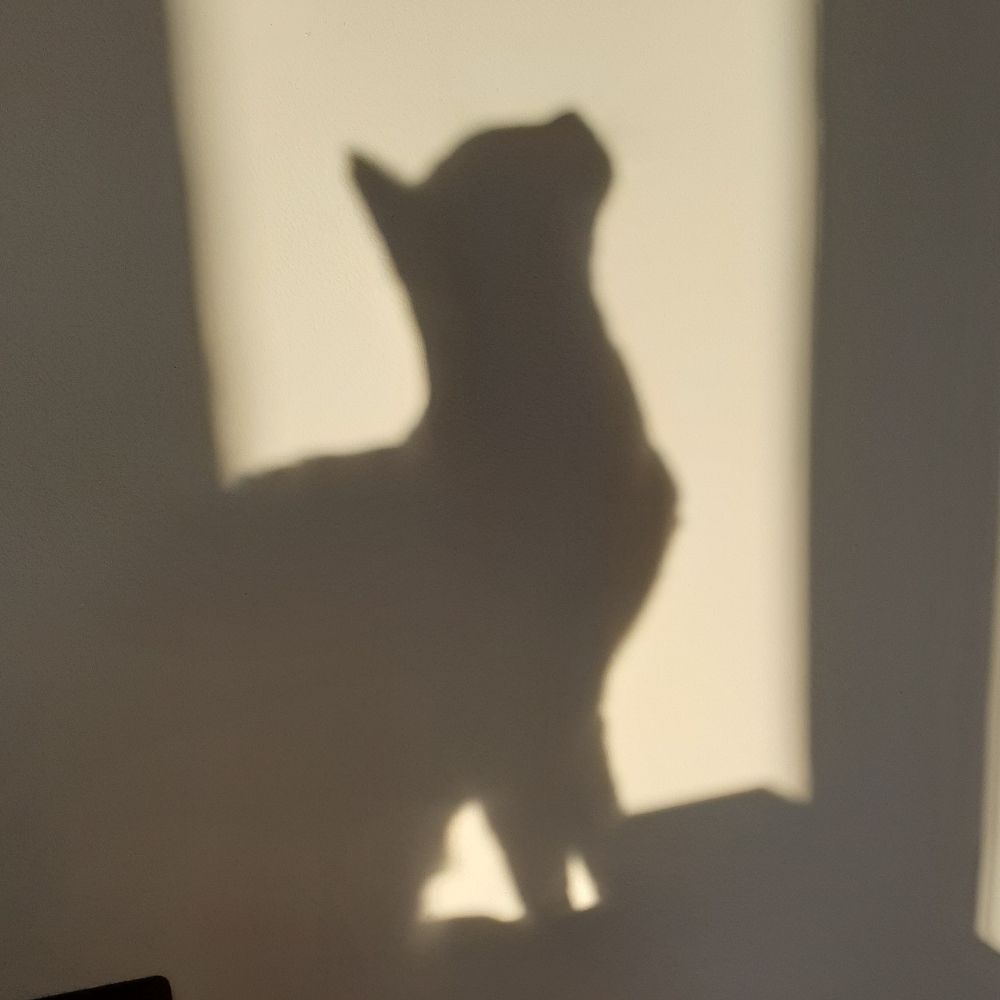 Espuntini