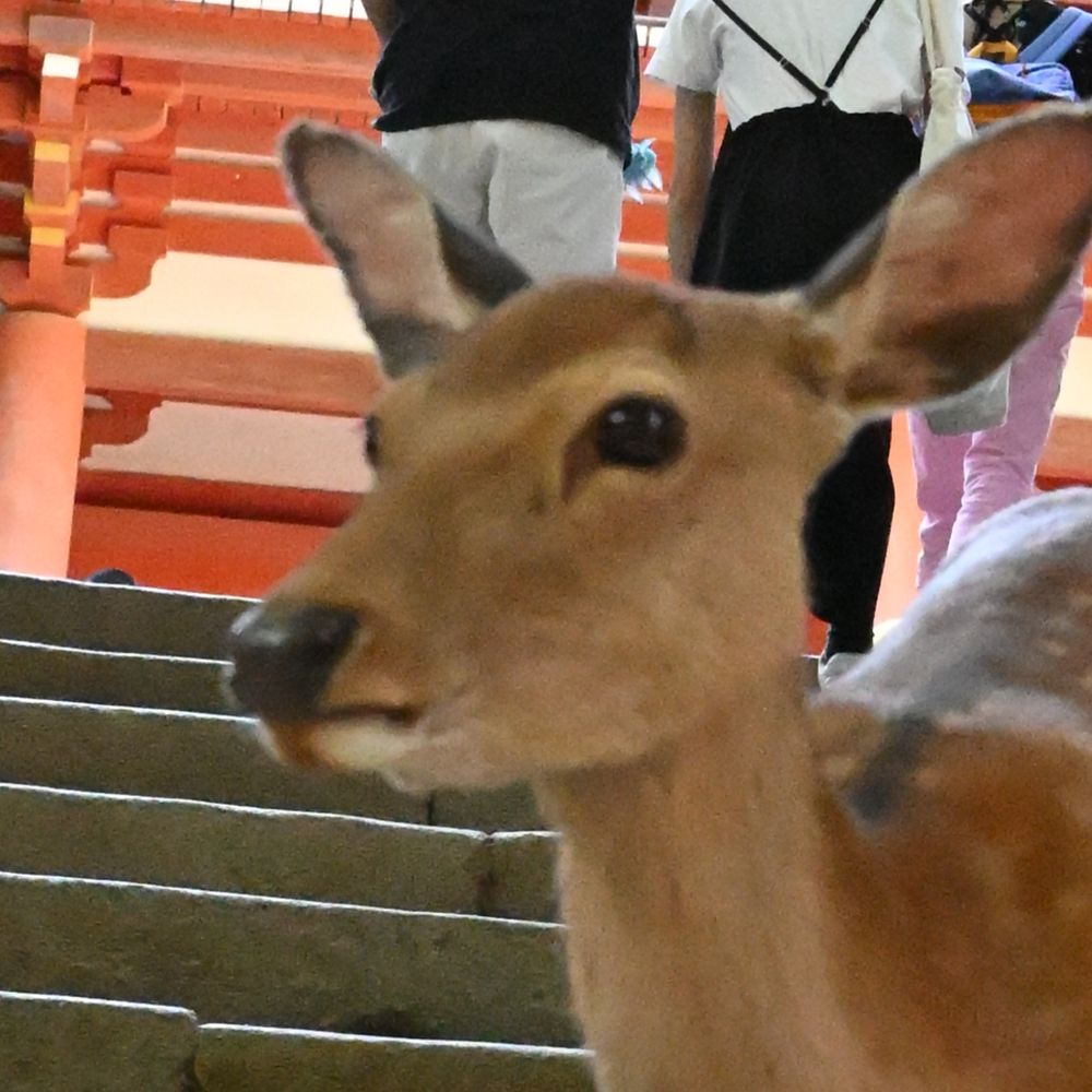 乗州ジョー（写真）