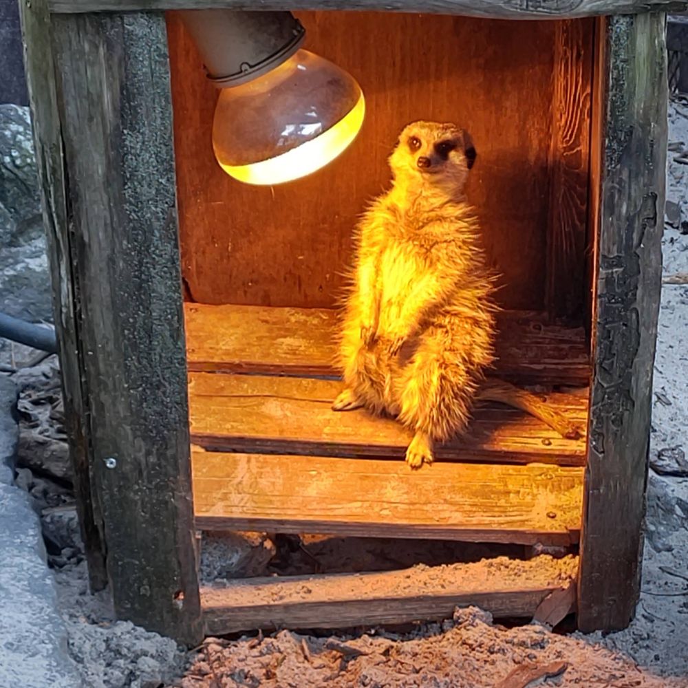 えんがわ