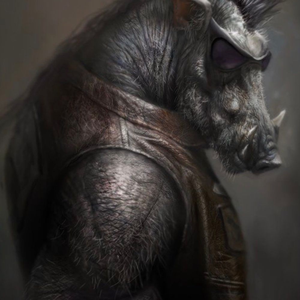 Einarr Freyviðr