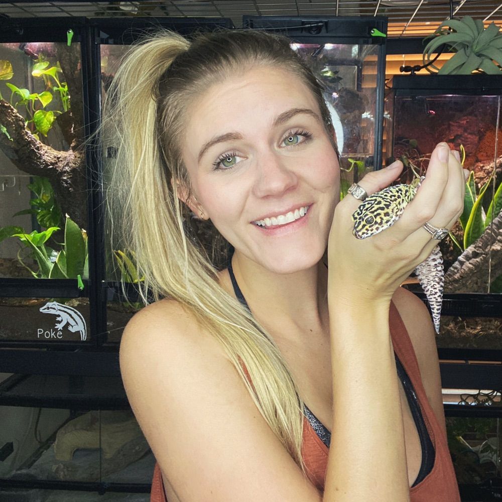 Lyssa’s Lizards