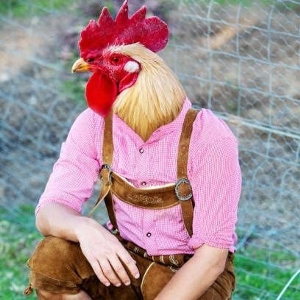 Monsieur Poules