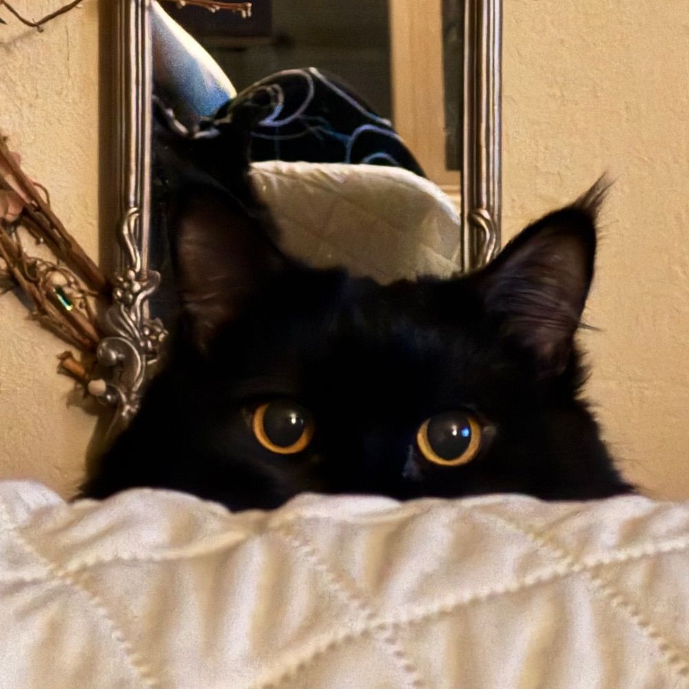 Vampette