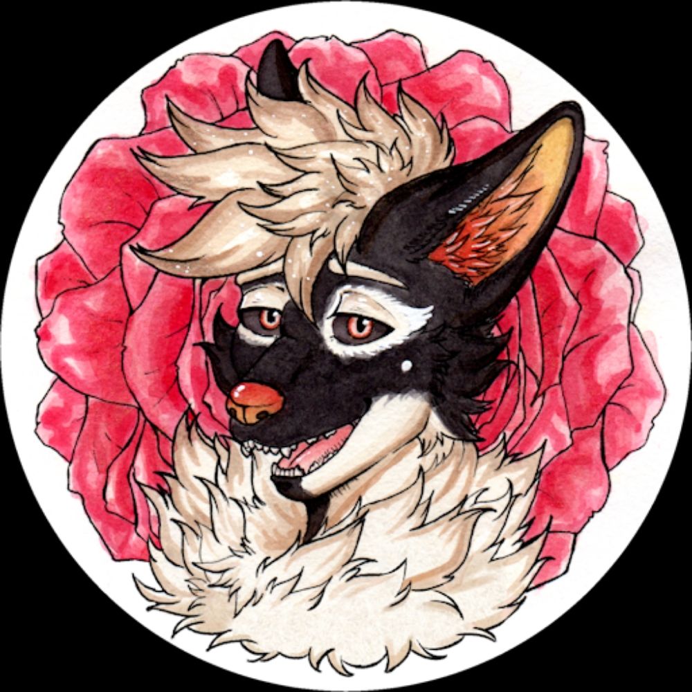 Heyo Its Neo