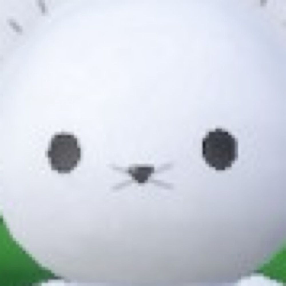 CEO of the Maus Fanclub 🍉