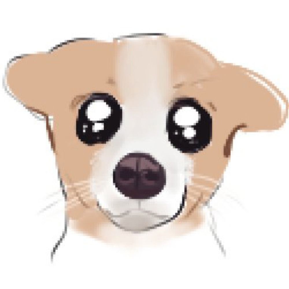 안요あんよ
