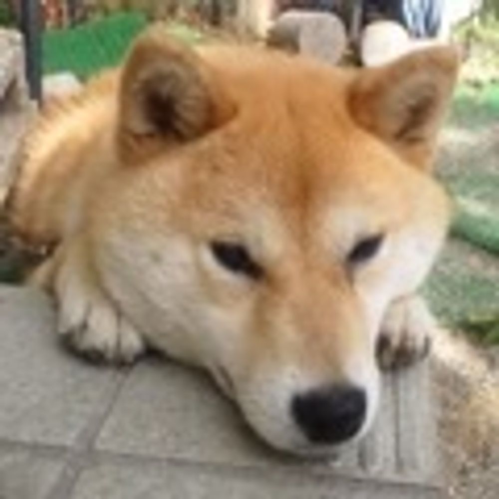 ぽんた
