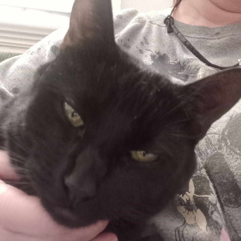 Ollie Katt