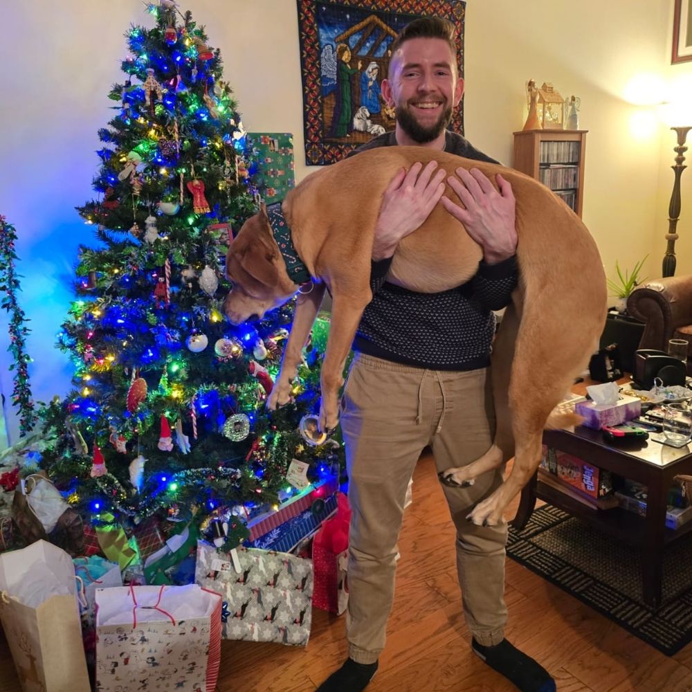 Dan