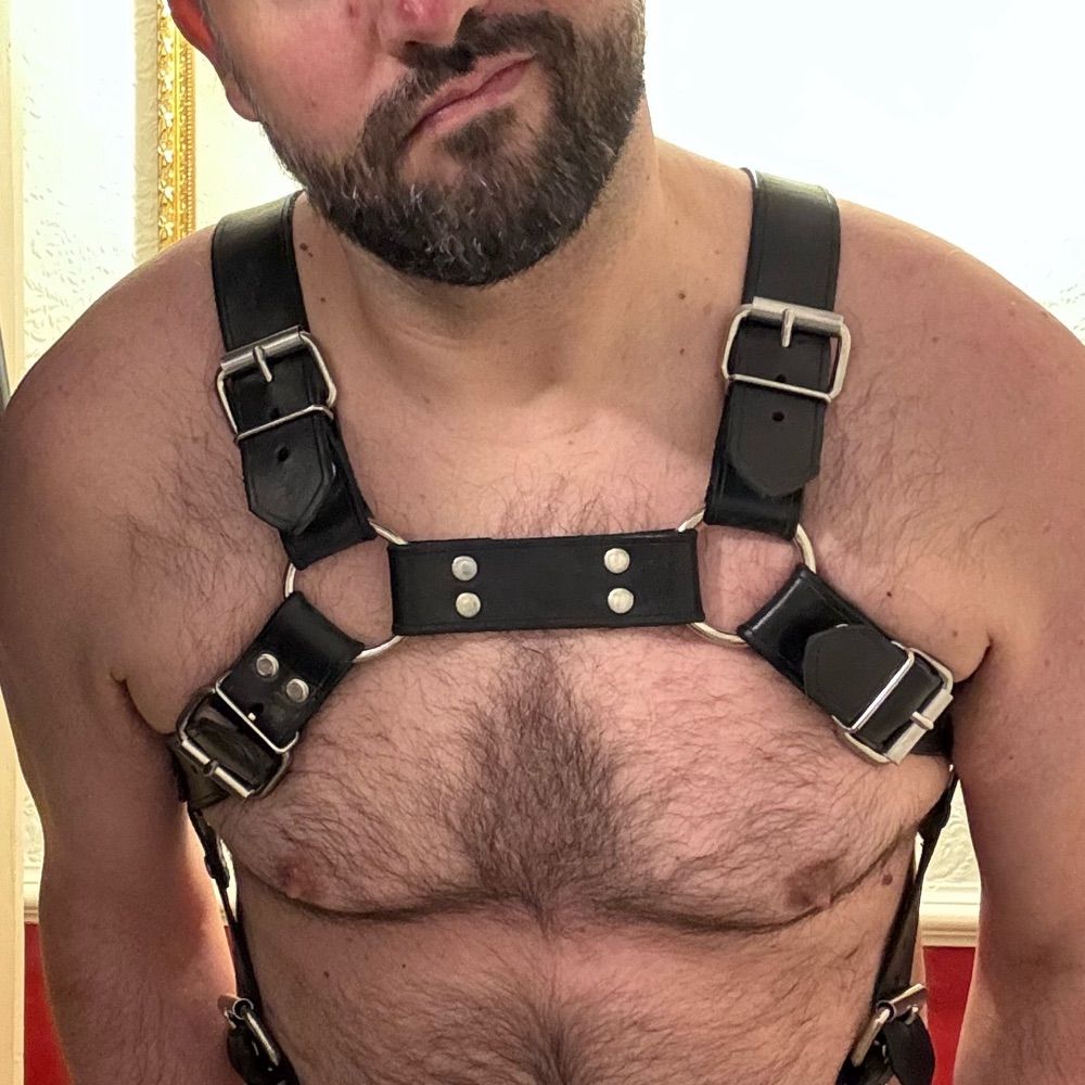 BLUFBear