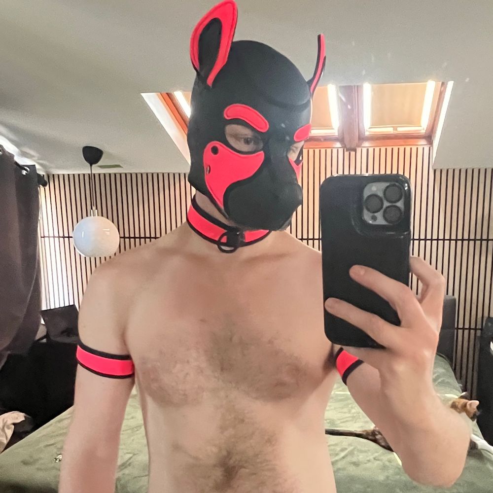 Pup Libra
