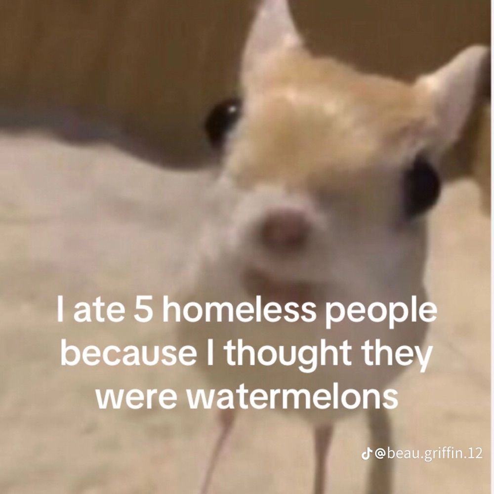 Mugdie