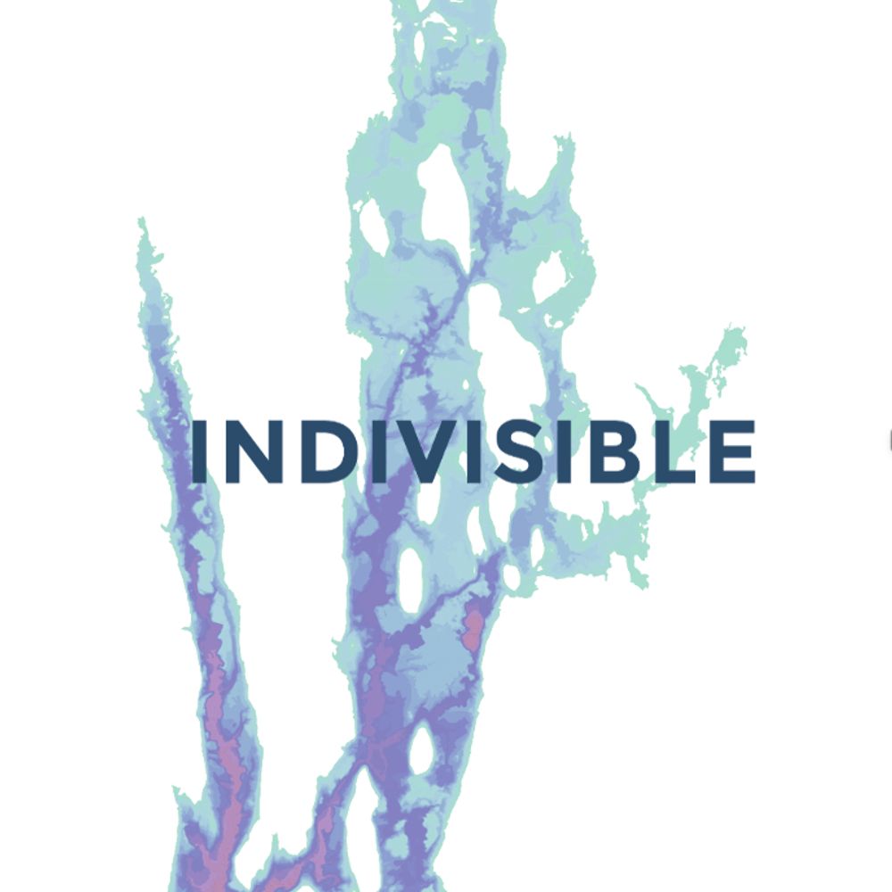 Indivisible West Quabbin