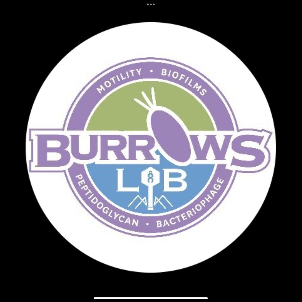 Lori L. Burrows