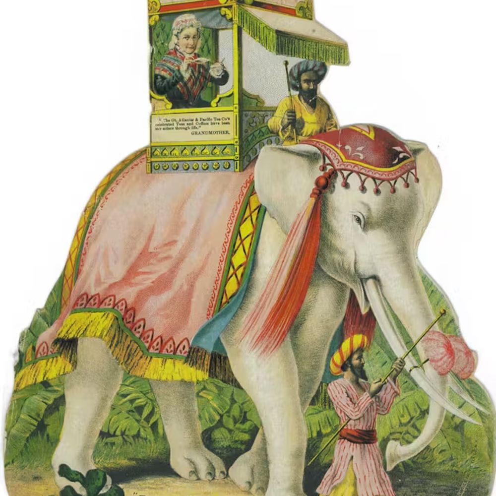 Ming Panha and Elephants