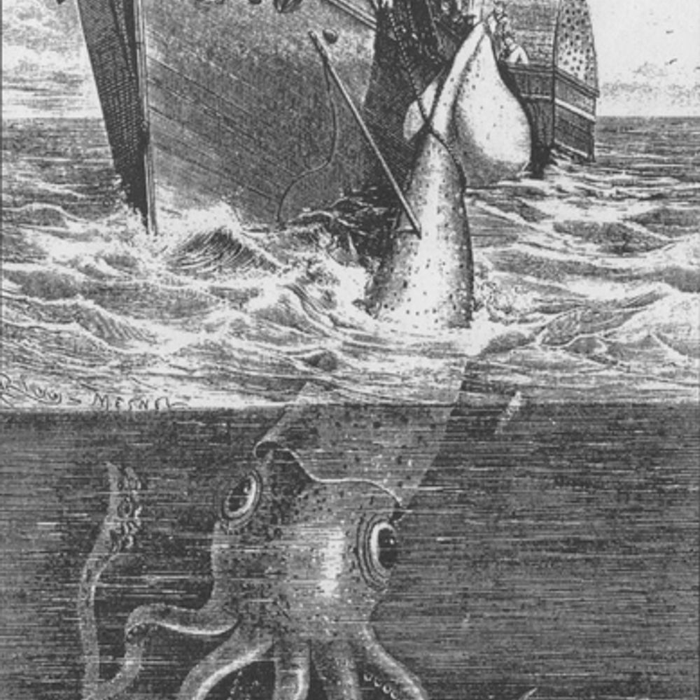 Ming Panha and Squids