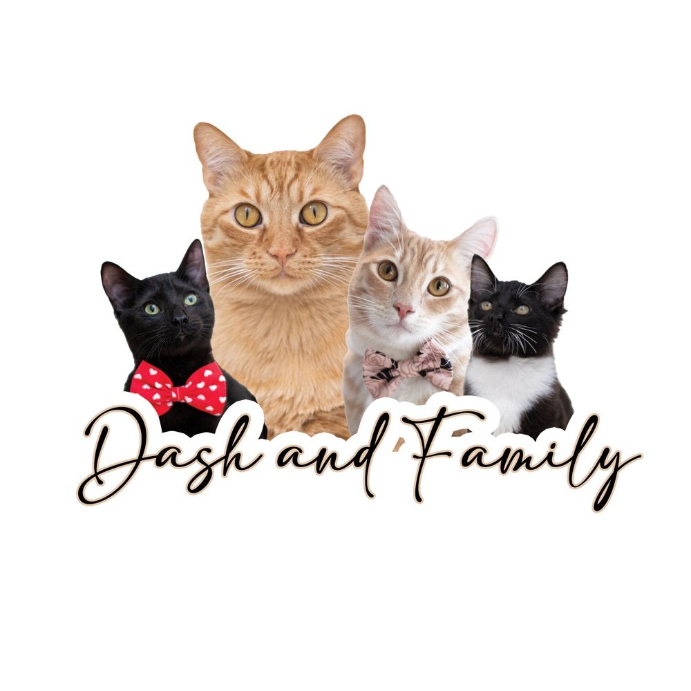 Dash & Family