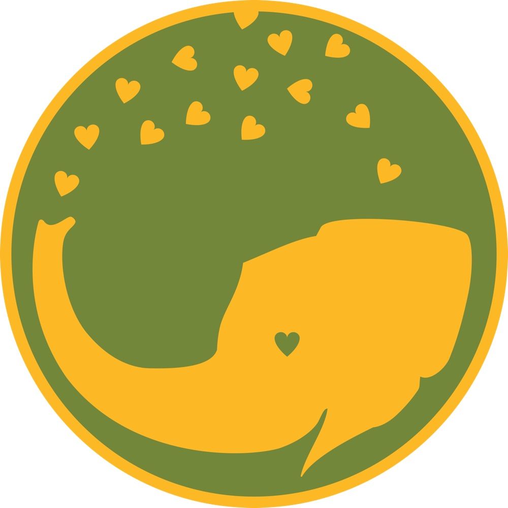 Elephant Shoe Studio