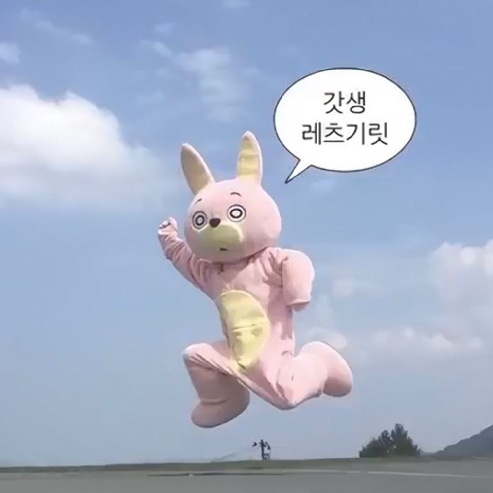짹짹🌈