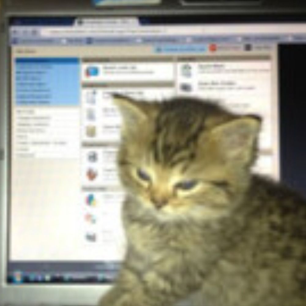 lwdtripcat