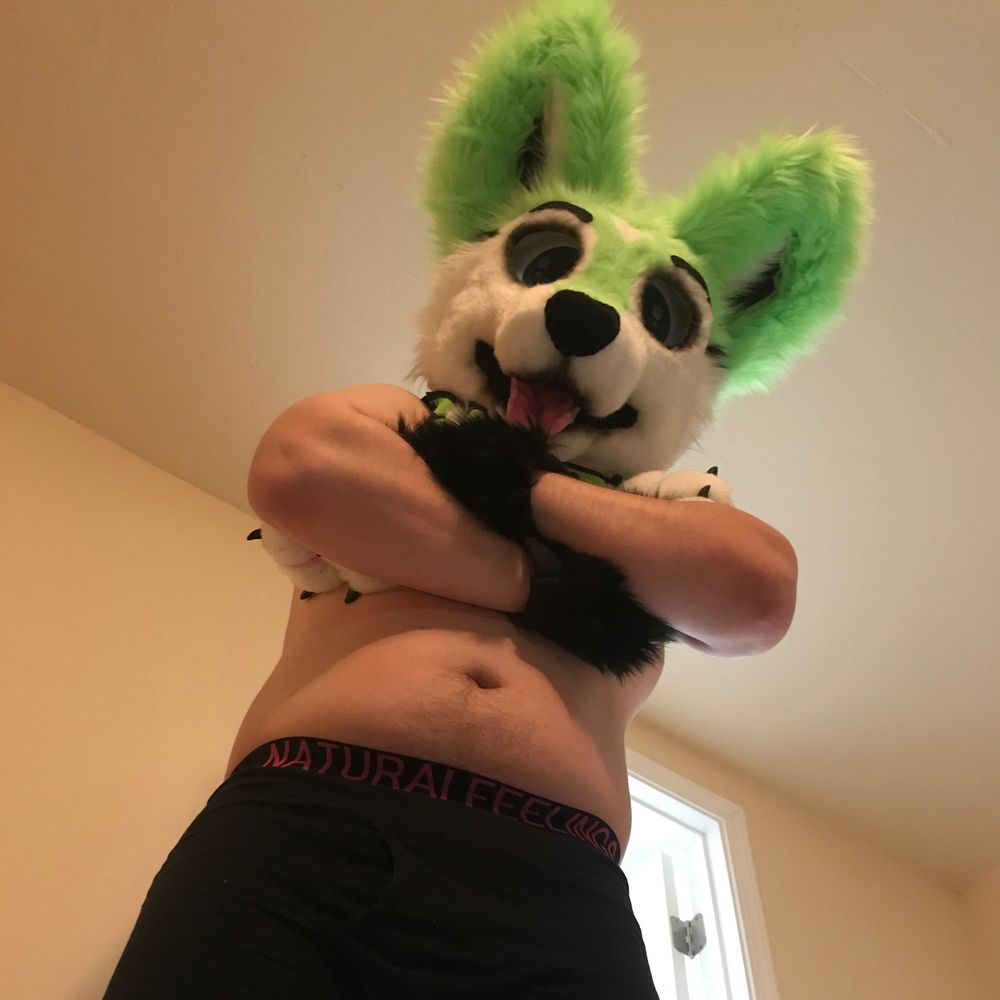 Innocent Curl 🔜 Fur Eh, BLFC?